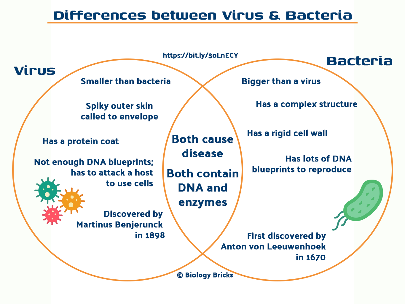 bacteria-vs-viruses-the-fight-off-between-bacteria-and-viruses