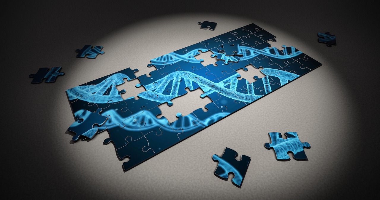 A jigsaw puzzle of the DNA double helix.