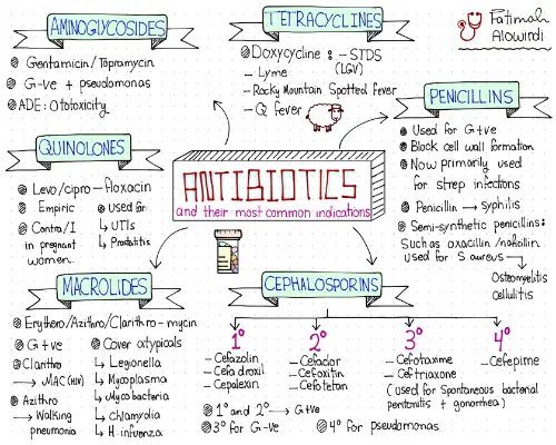 Summary about antibiotics