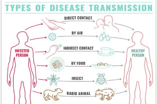 Ways to transfer diseases