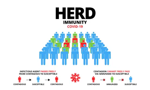 Hoe herd immunity works