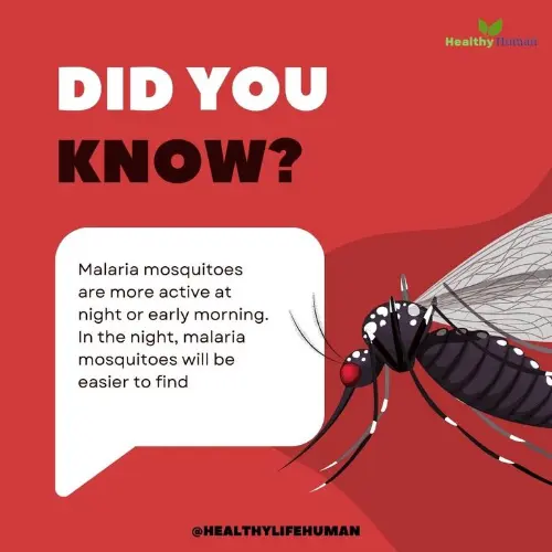 Did you know about Malaria