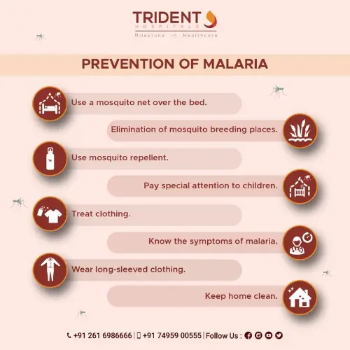 Ways to prevent malaria