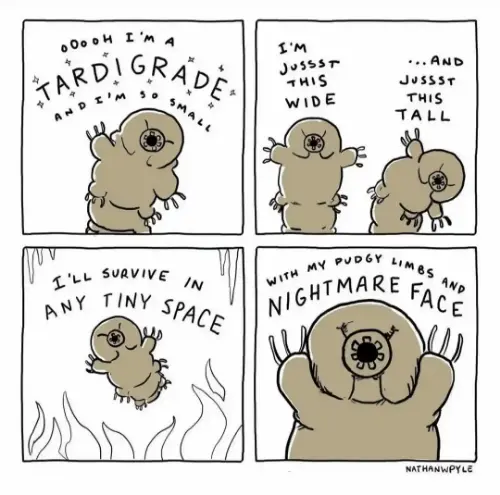 Small tardigrade cartoon