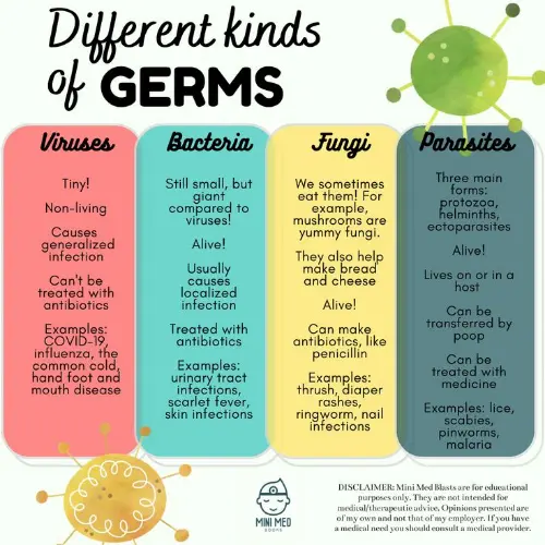 Types of germs