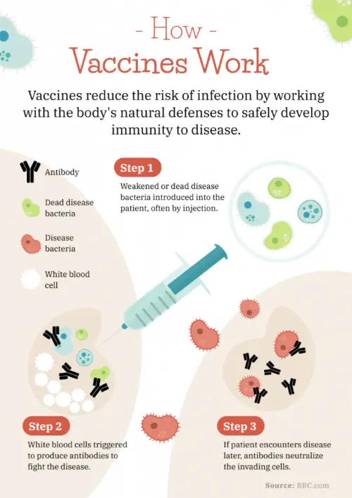 Infographic of vaccinations