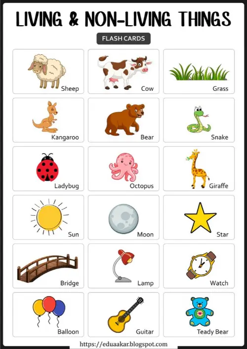 Activity sheet flashcards