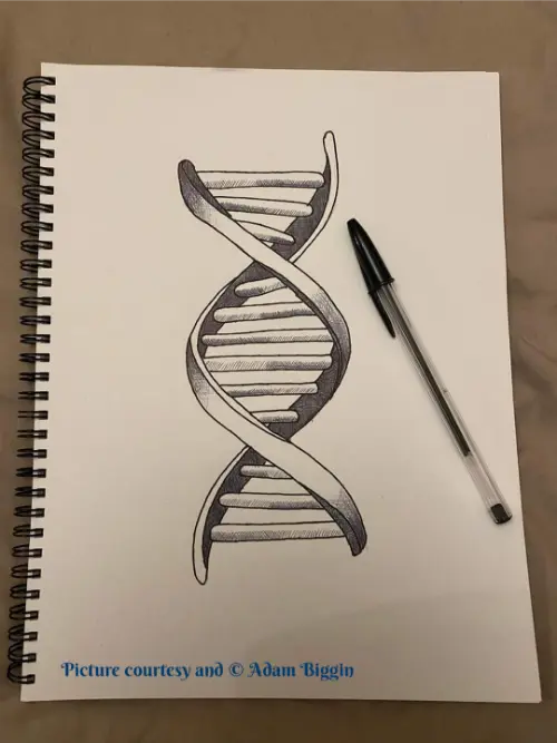 A double helix artwork by Adam Biggin