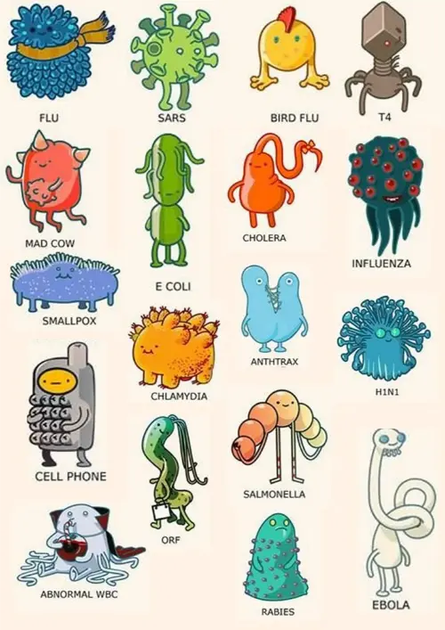 Types of bad bacteria