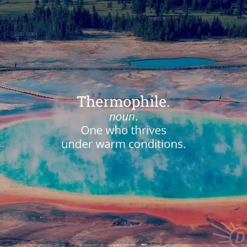 The definition of a thermophile