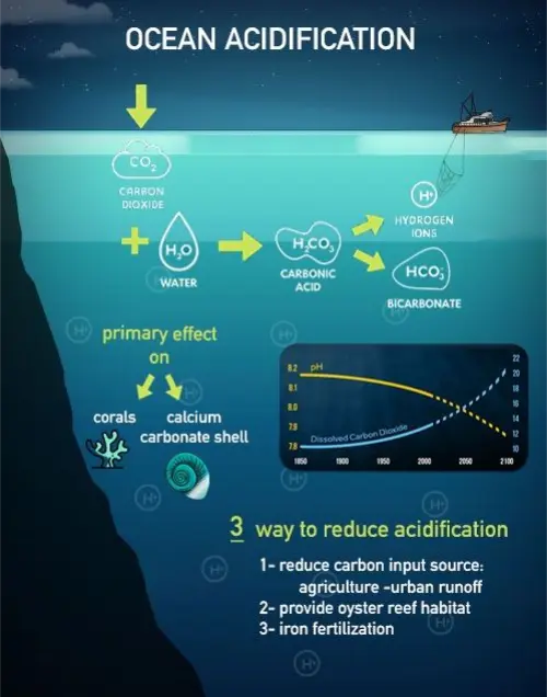 Ocean acidification