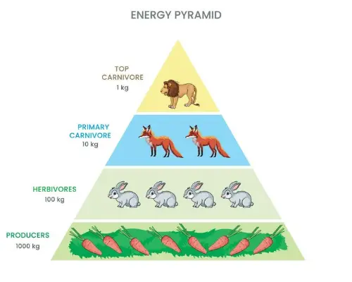 Alternative energy pyramid