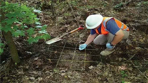 Environmental sampling using a quadrat