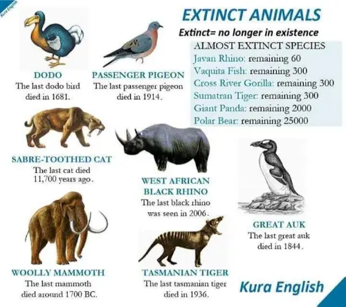 Animals that are now extinct