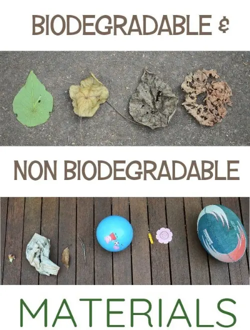 Biodegradable vs non-biodegradable materials