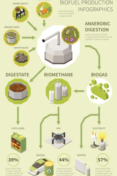 Biofuel production