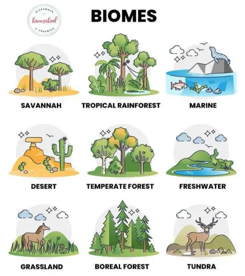 Biomes