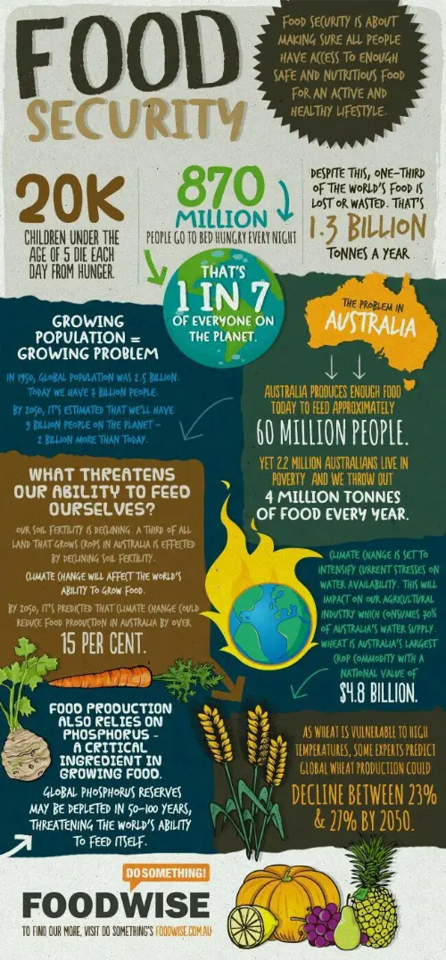 Food security infographic
