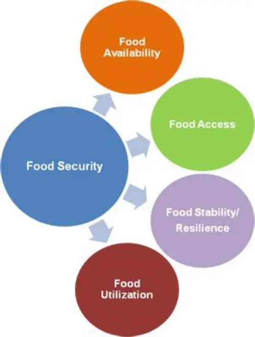 Four pillars of food security