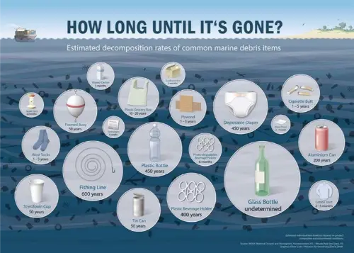How long items take to decompose