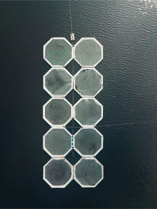 Sustainable fish farming