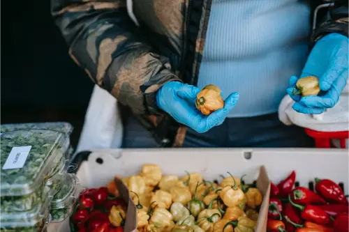 Maintaining food supplies is essential