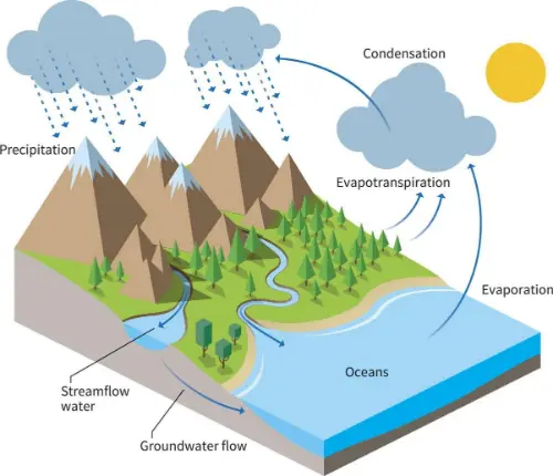 A water cycle