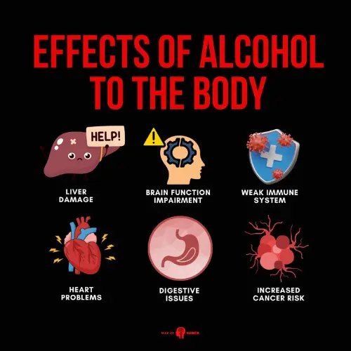 The effects of alcohol