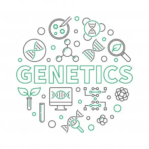 Generic image of things to do with genetics