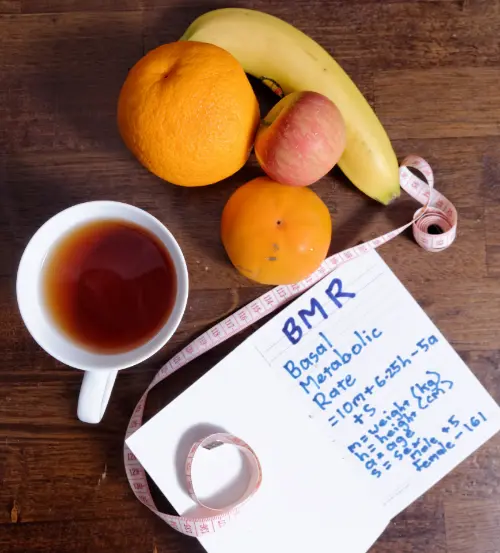 Metabolism is how fast your food is digested