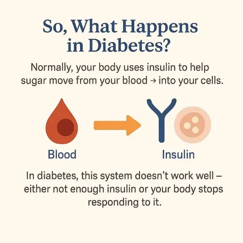 Simple explanation of diabetes