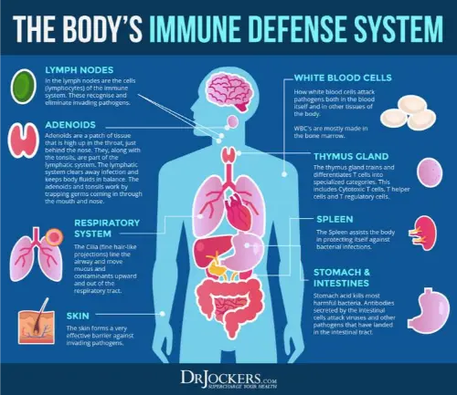 Immune defence systems