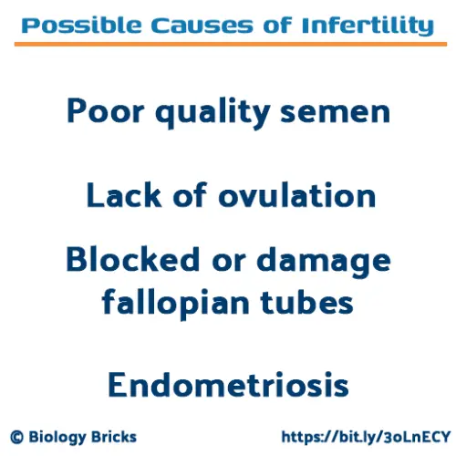 Causes of infertility