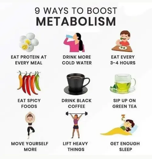 Boosting metabolism