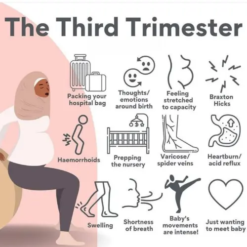 The third trimester