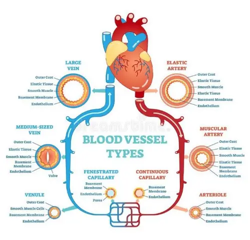 Types of vessels