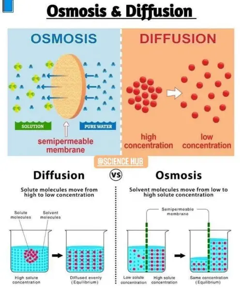Alternative diffusion and osmosis differences