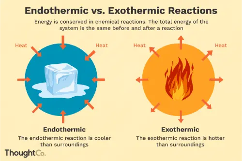 Endo and exothermic reactions