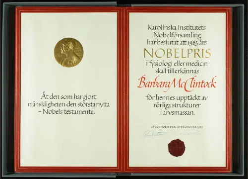 McClintock's Nobel prize