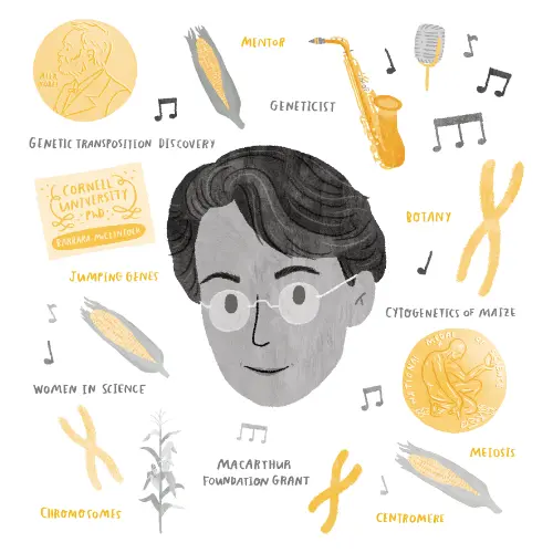 Infographic of McClintock