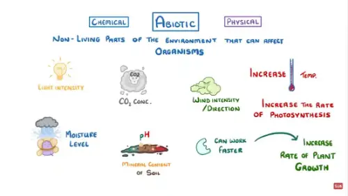 Watch this video from Cognito on YouTube