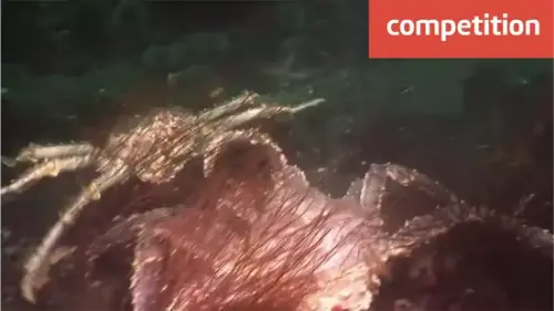 Watch this video from Stile Education on YouTube