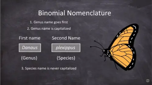 Watch this video from Sci-ology on YouTube