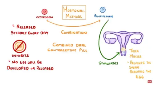 Watch this video from Cognito on YouTube