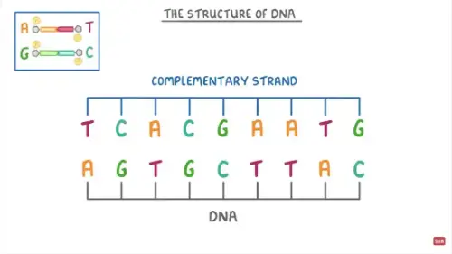 Youtube still of video