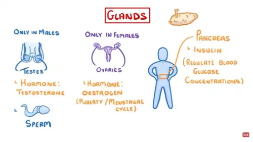 Watch this video from Cognito on YouTube