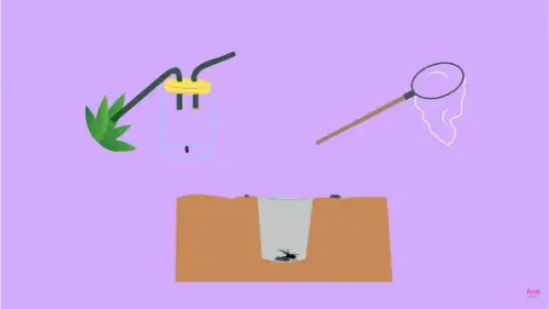 Watch this video from Fuse School on YouTube