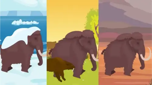 Watch this video from Cognito on YouTube