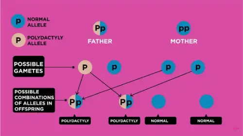 Watch this video from Fuse School on YouTube