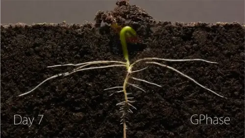 Watch this video from Erin on YouTube